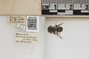 Media type: image;   Entomology 785930 Aspect: Labels